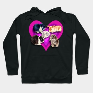 Super cute bunnies on a purple digital heart Hoodie